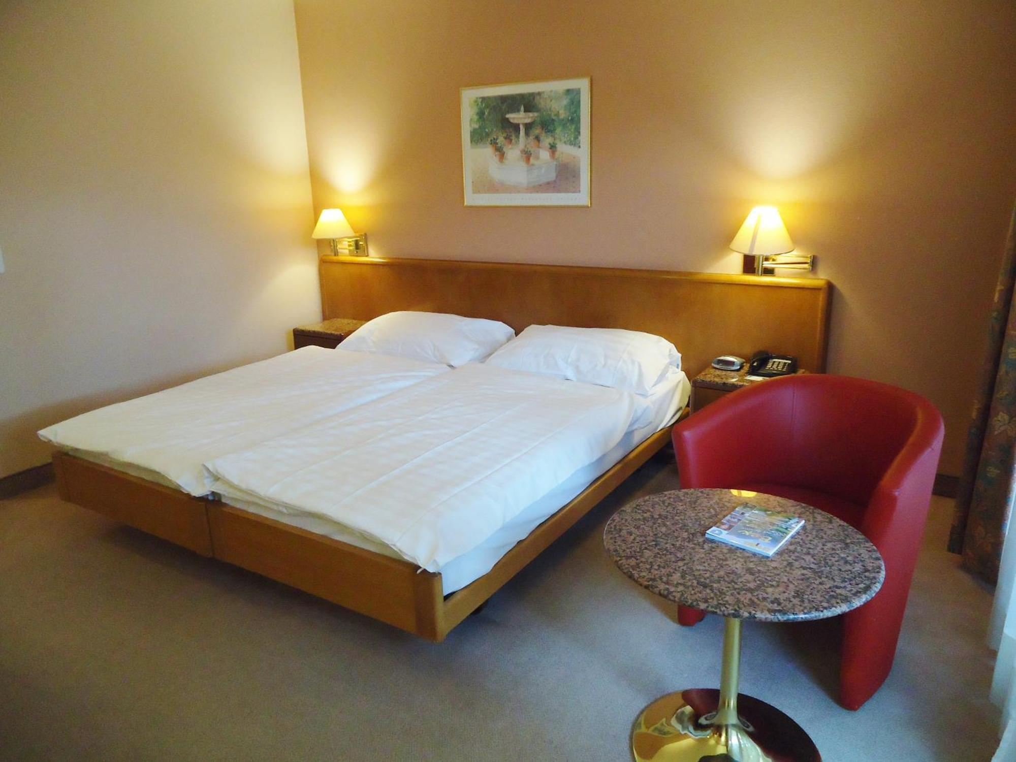 โฮเทล เลอเซเดร Hotel Bex ห้อง รูปภาพ